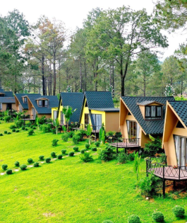 Mẫu nhà homestay 3